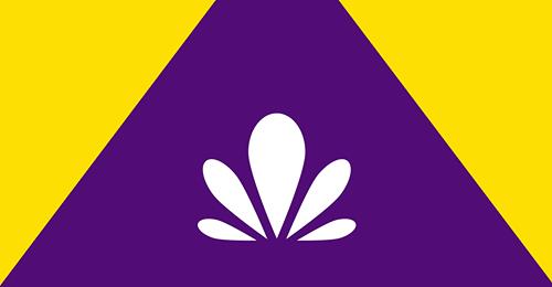 Проєкт Схеми планування П'ядицької ТГ